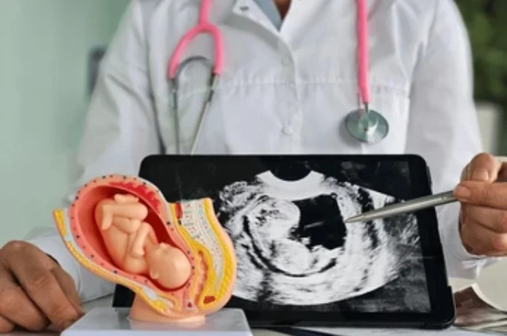 Fetal Medicine & Fetal Echocardiography